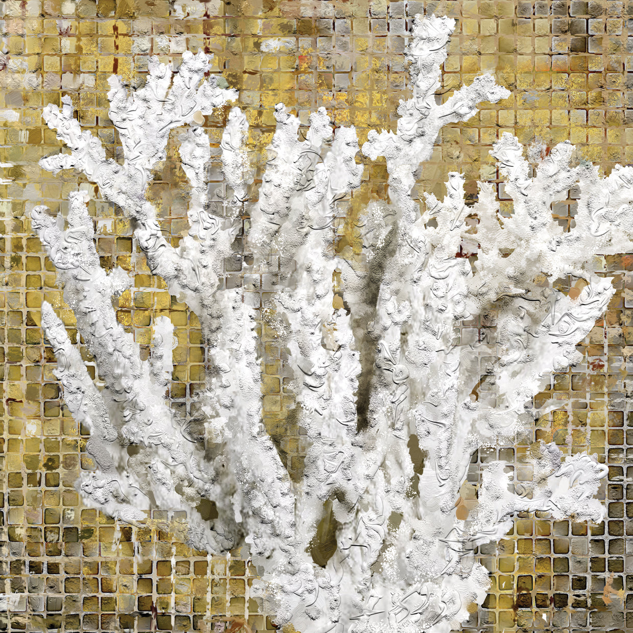 White Coral I