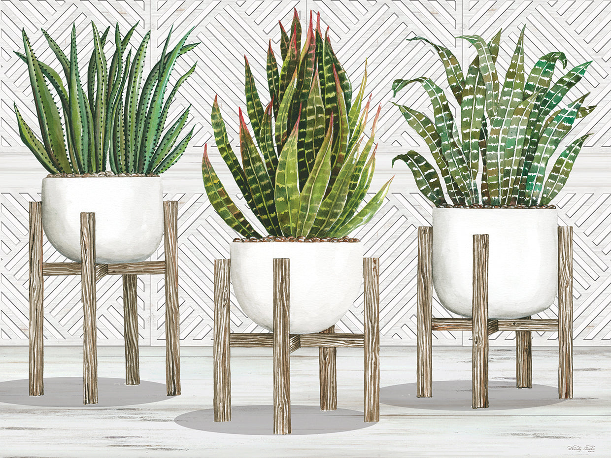 Succulent Trio on Stands