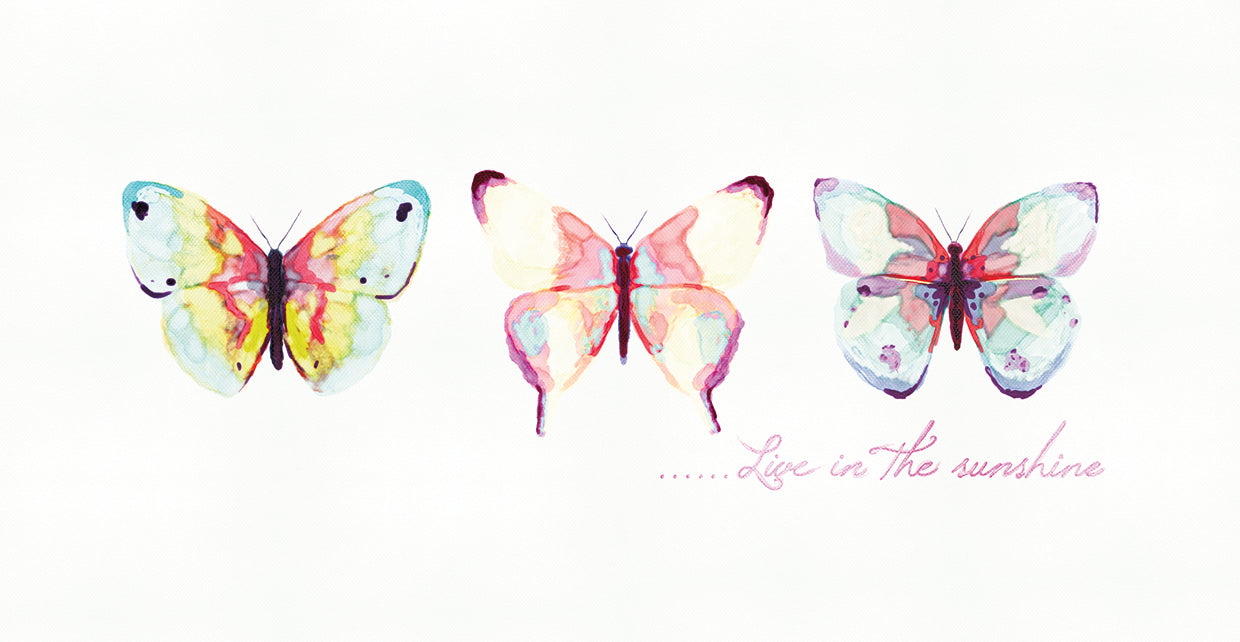 Live in the Sunshine