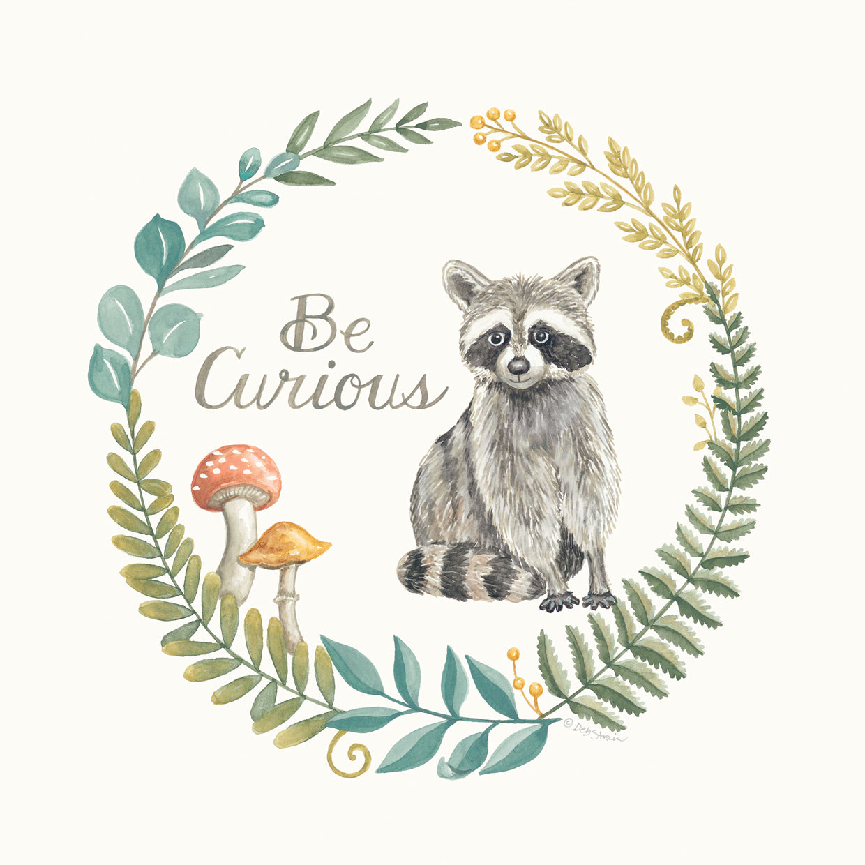 Be Curious Raccoon