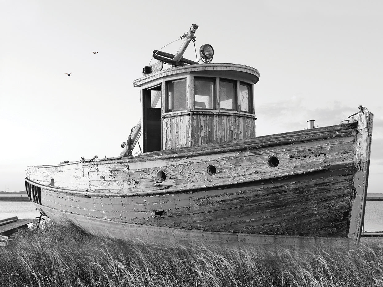 This Old Boat I