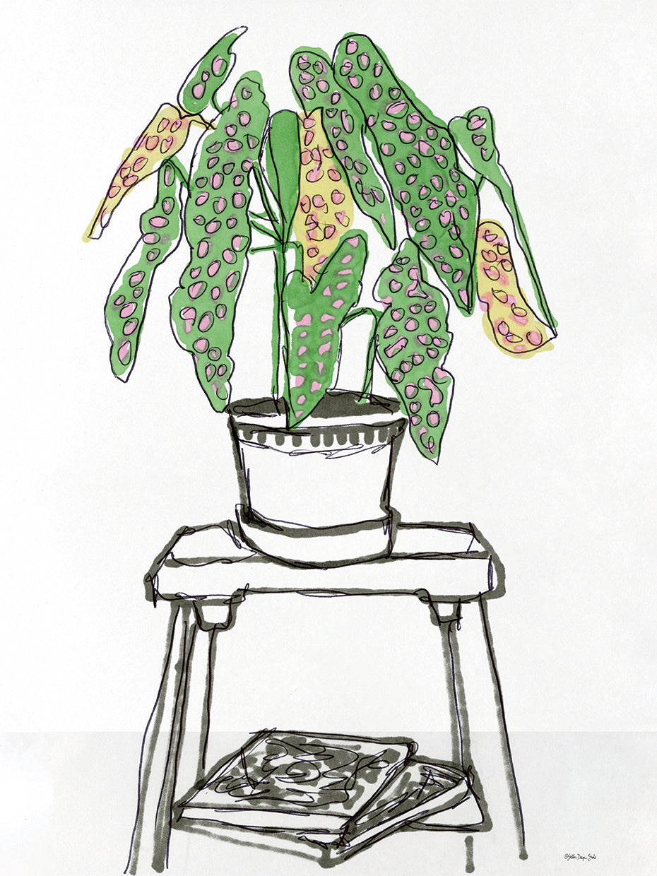 House Plant Study I