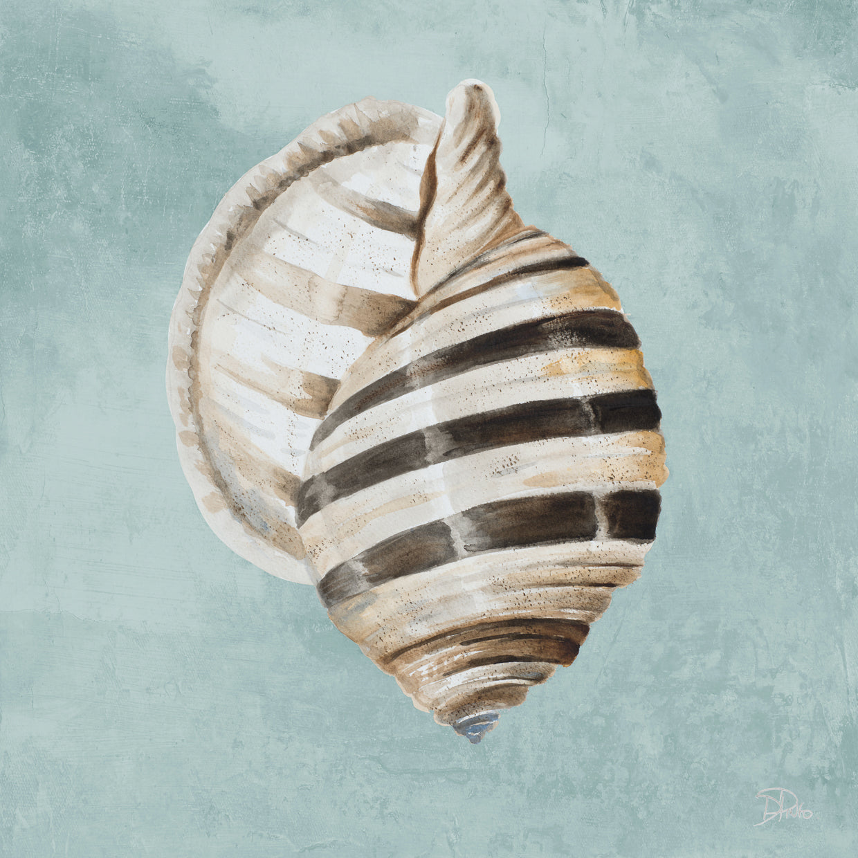 Shell moderno en verde azulado I Lienzo