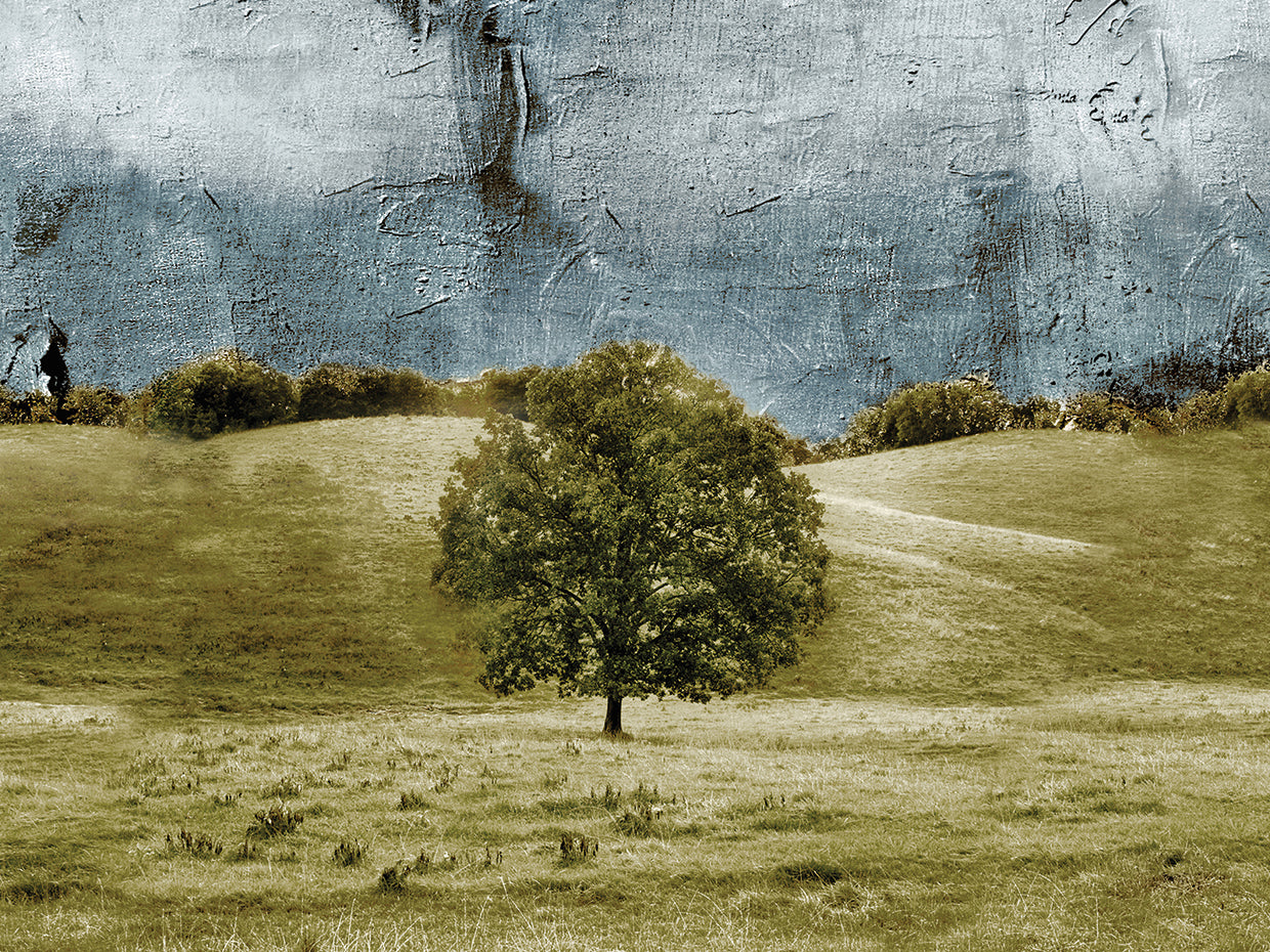 Tree In The Valley