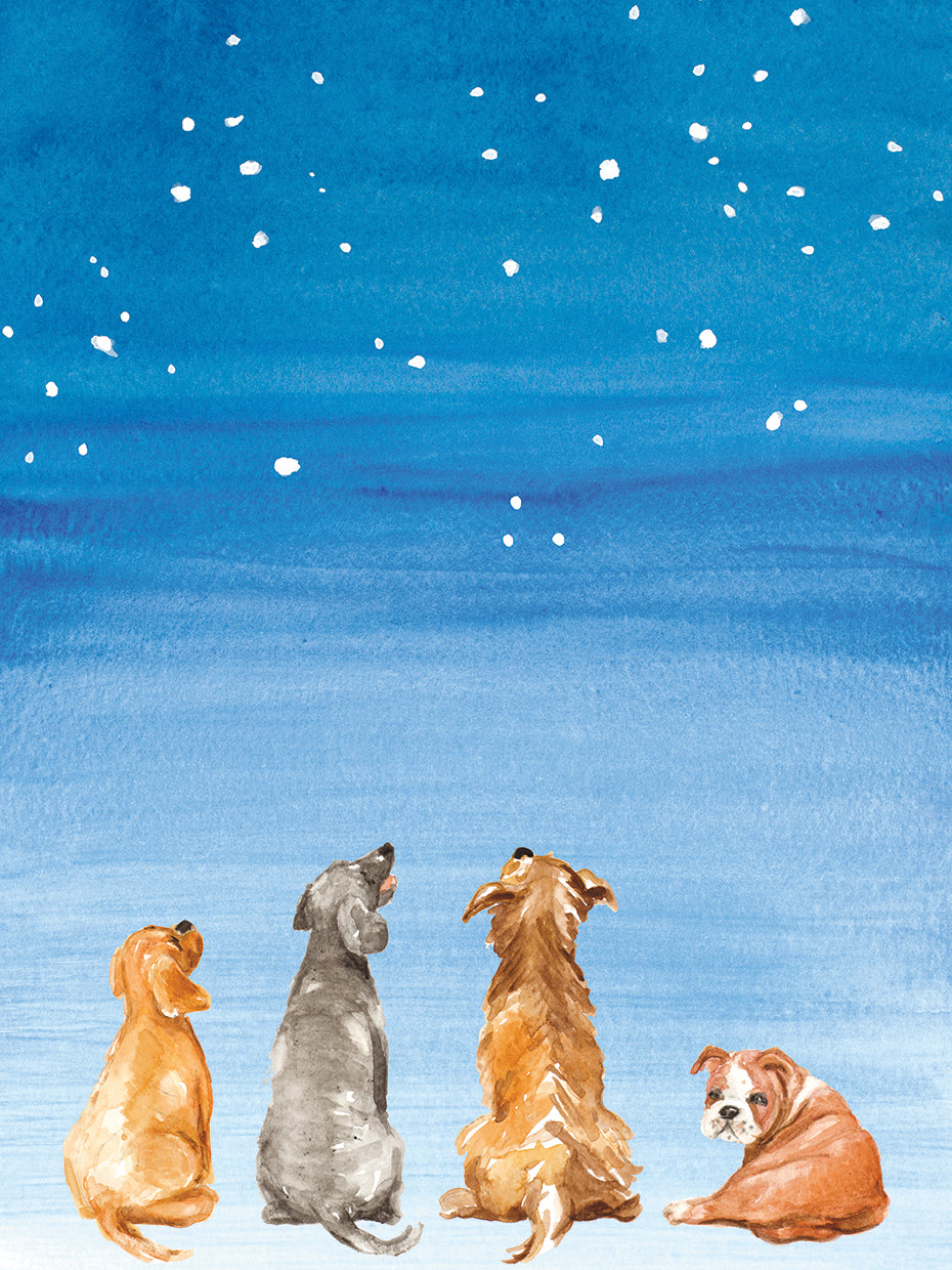 Cuatro perros mirando las estrellas Lienzo