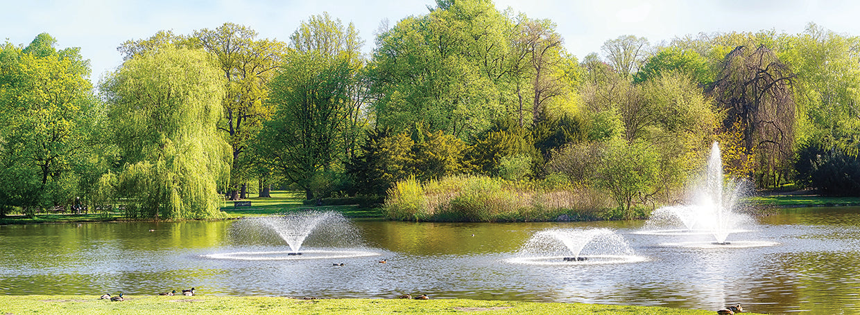 Panorama del parque Spring Greens Lienzo