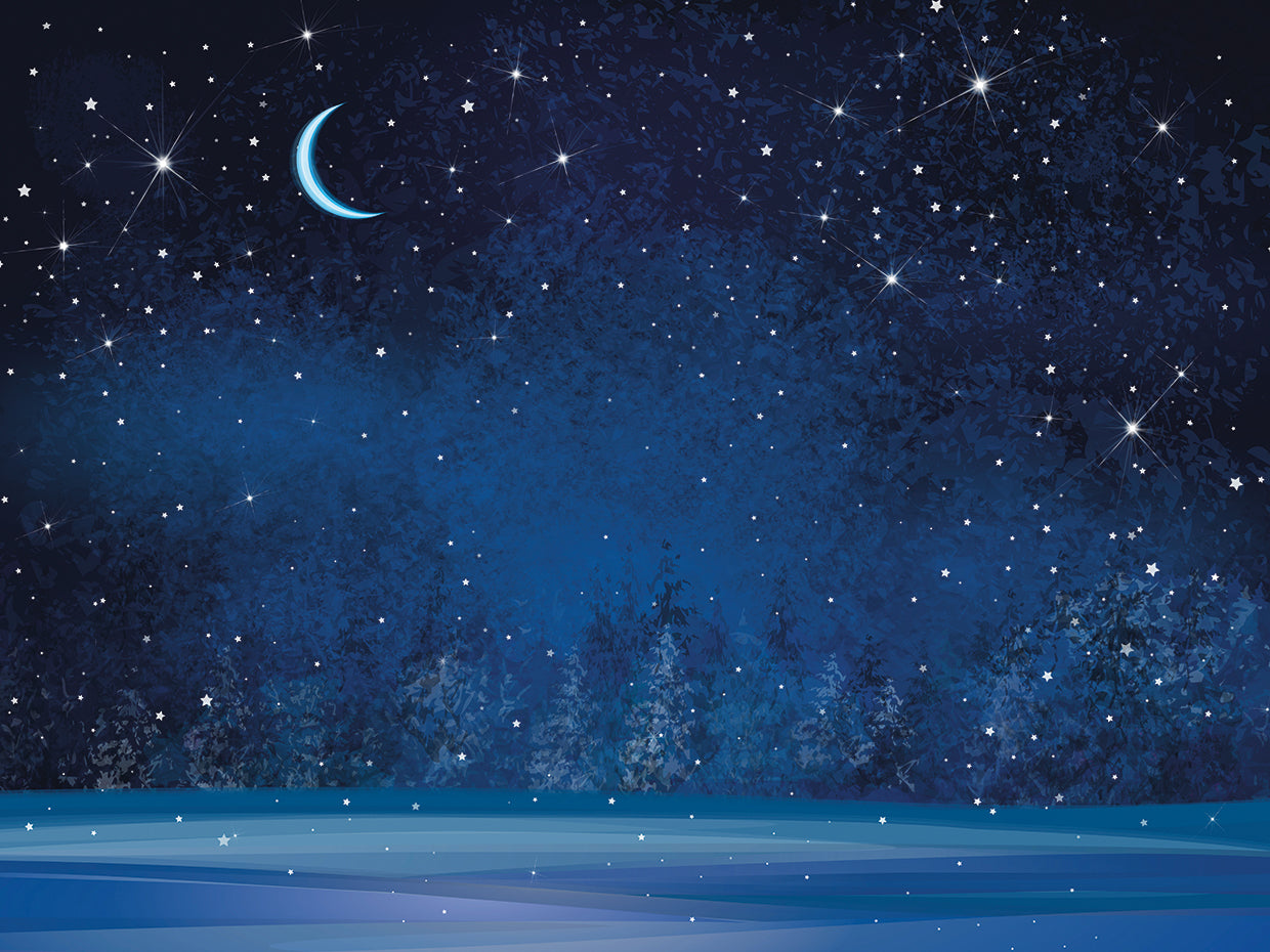 Maravillas de invierno Bosque iluminado por la luna Lienzo
