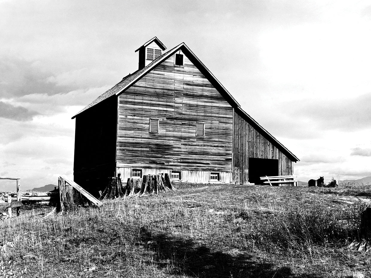 The Barn of an Old Settler