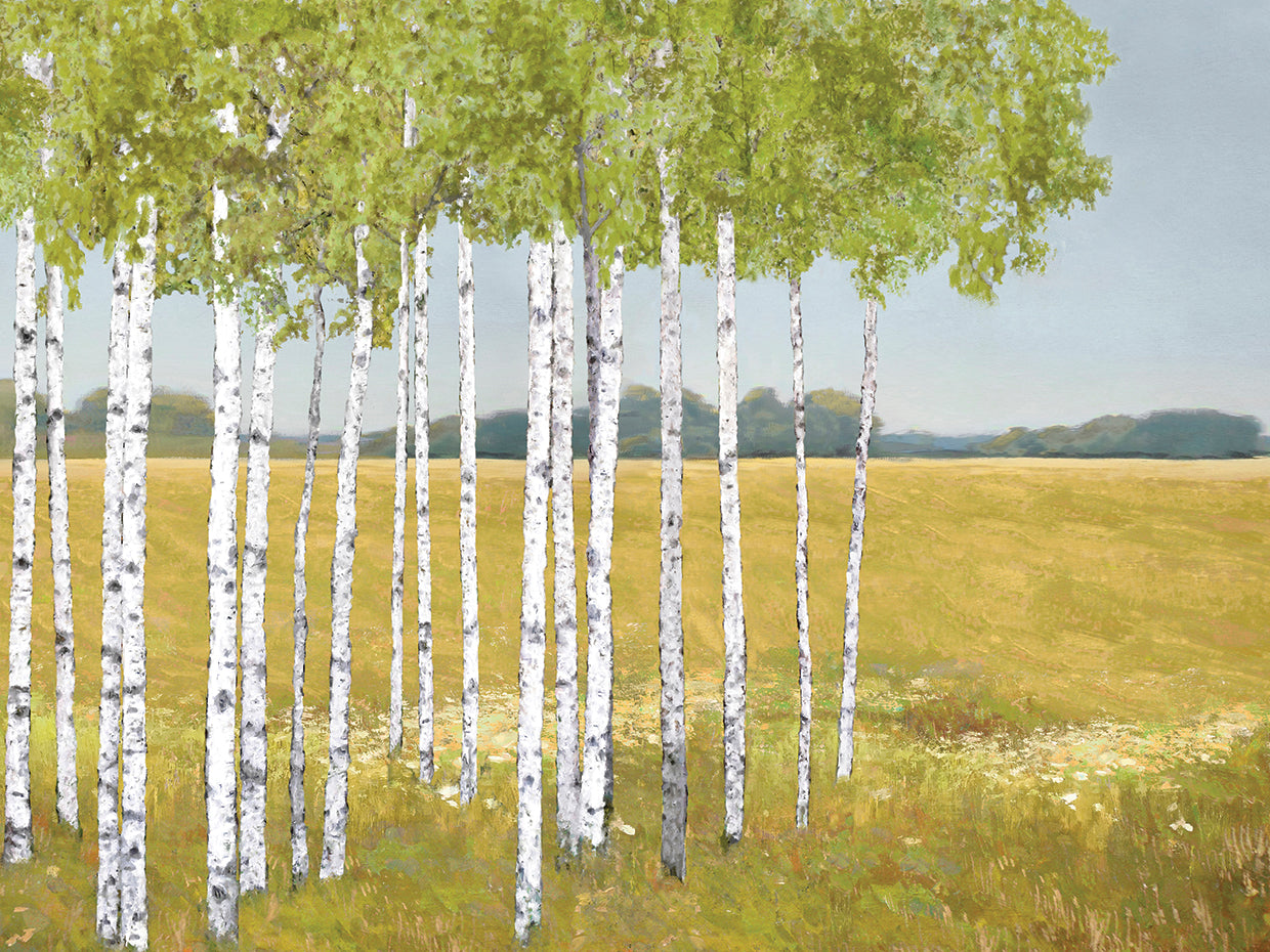 Into the Glade Explore