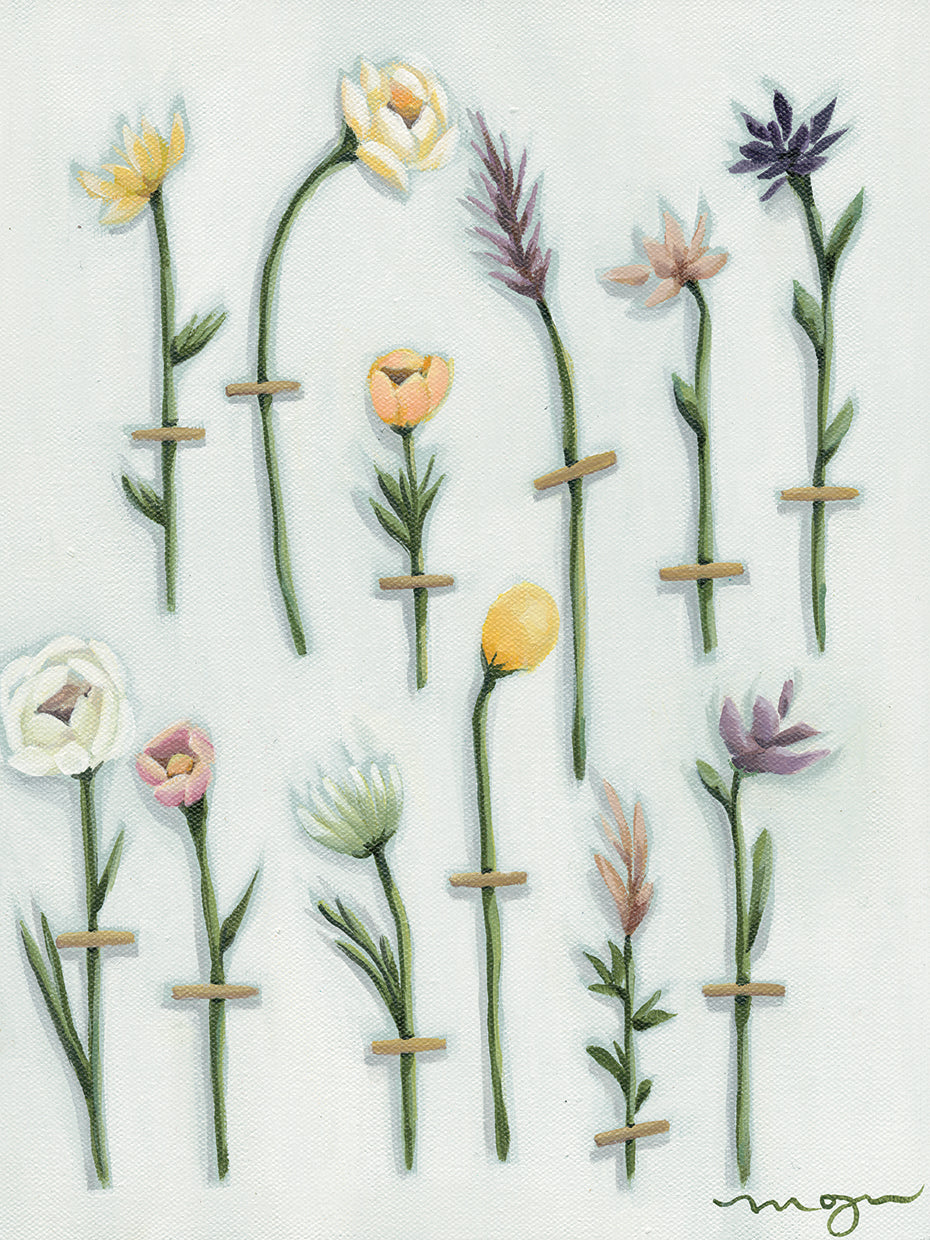 Wildflower Collection