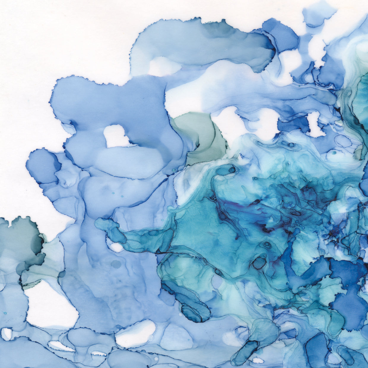 Ocean Influence Blue