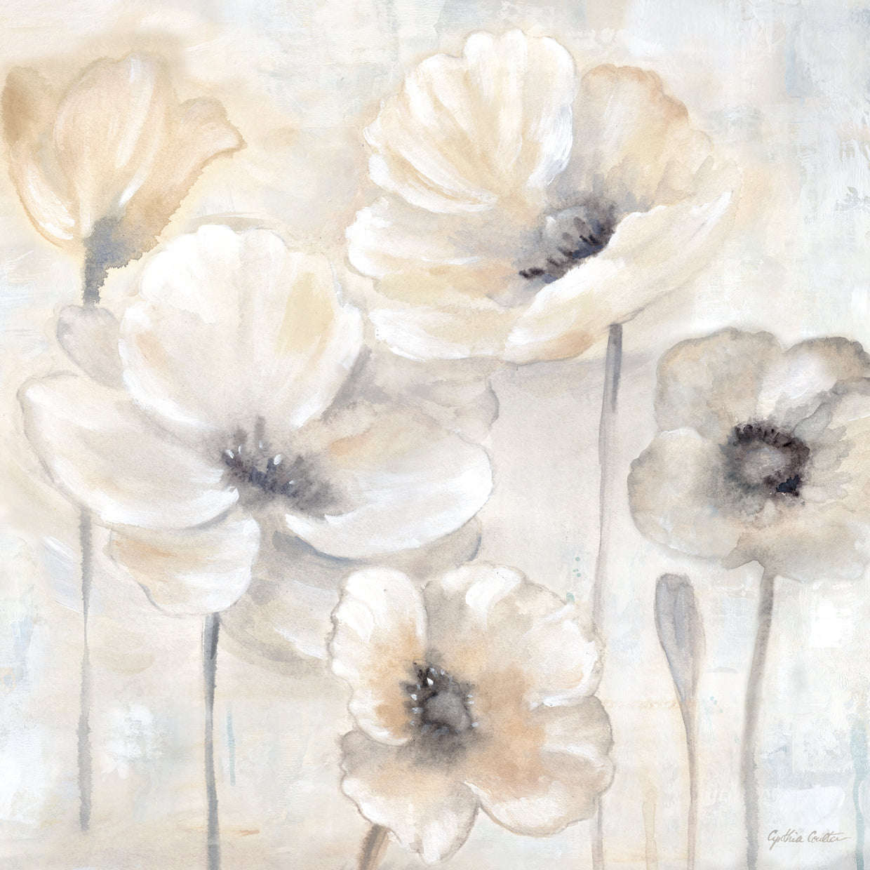 Gray Poppy Garden II