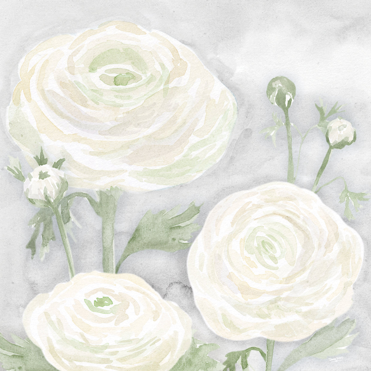 Peaceful Repose Floral on Gray I