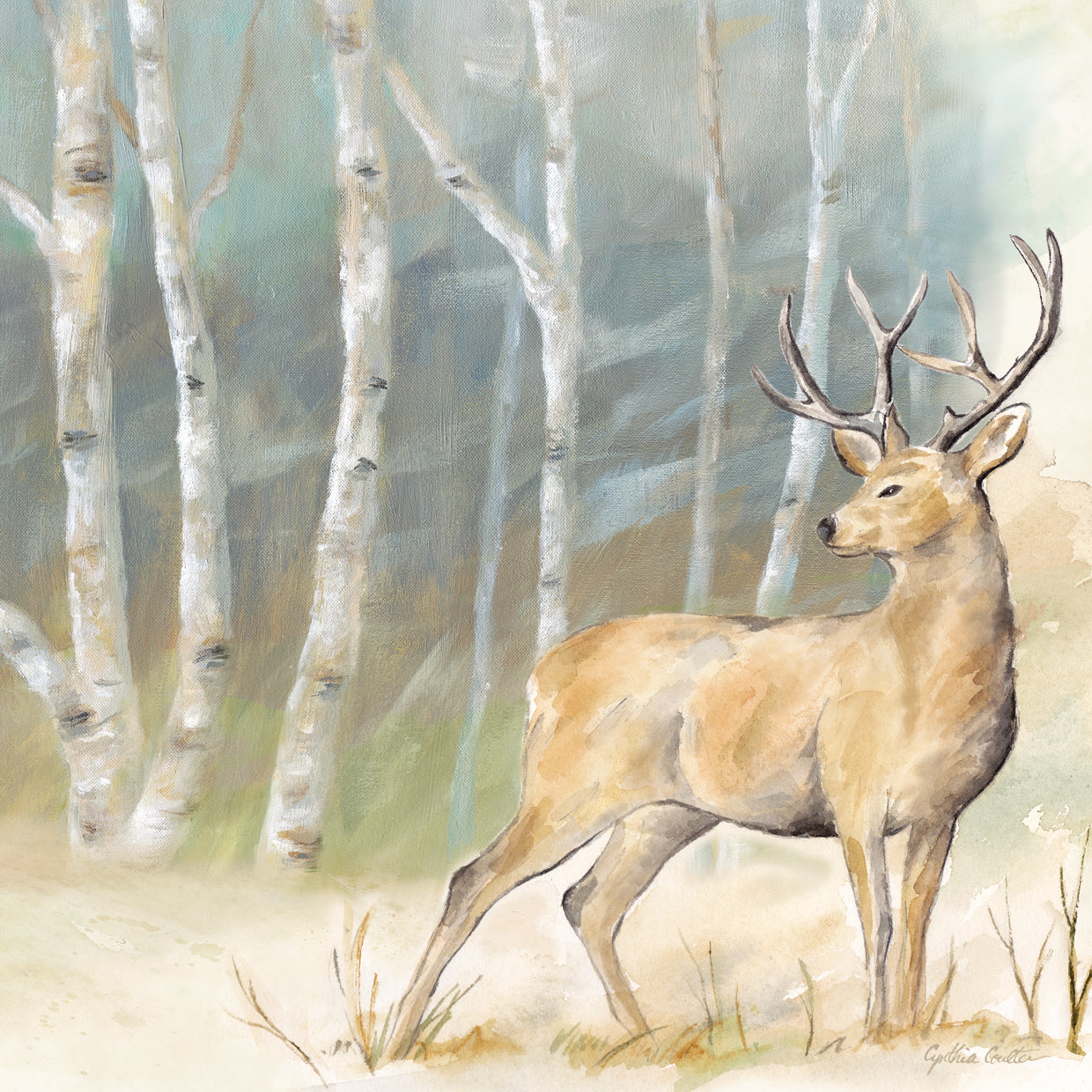 Woodland Reflections III-Deer