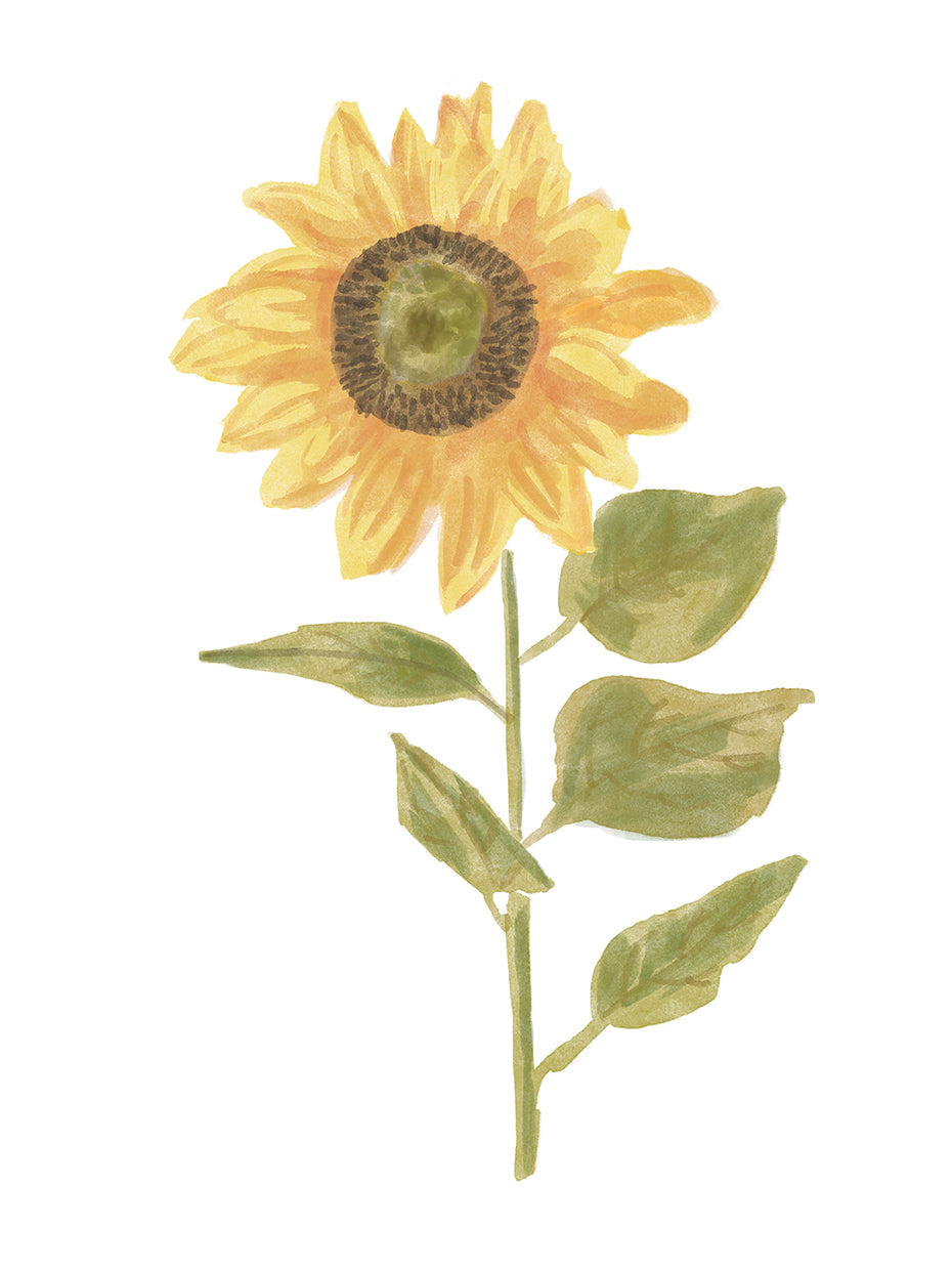Retrato de un solo girasol II Lienzo