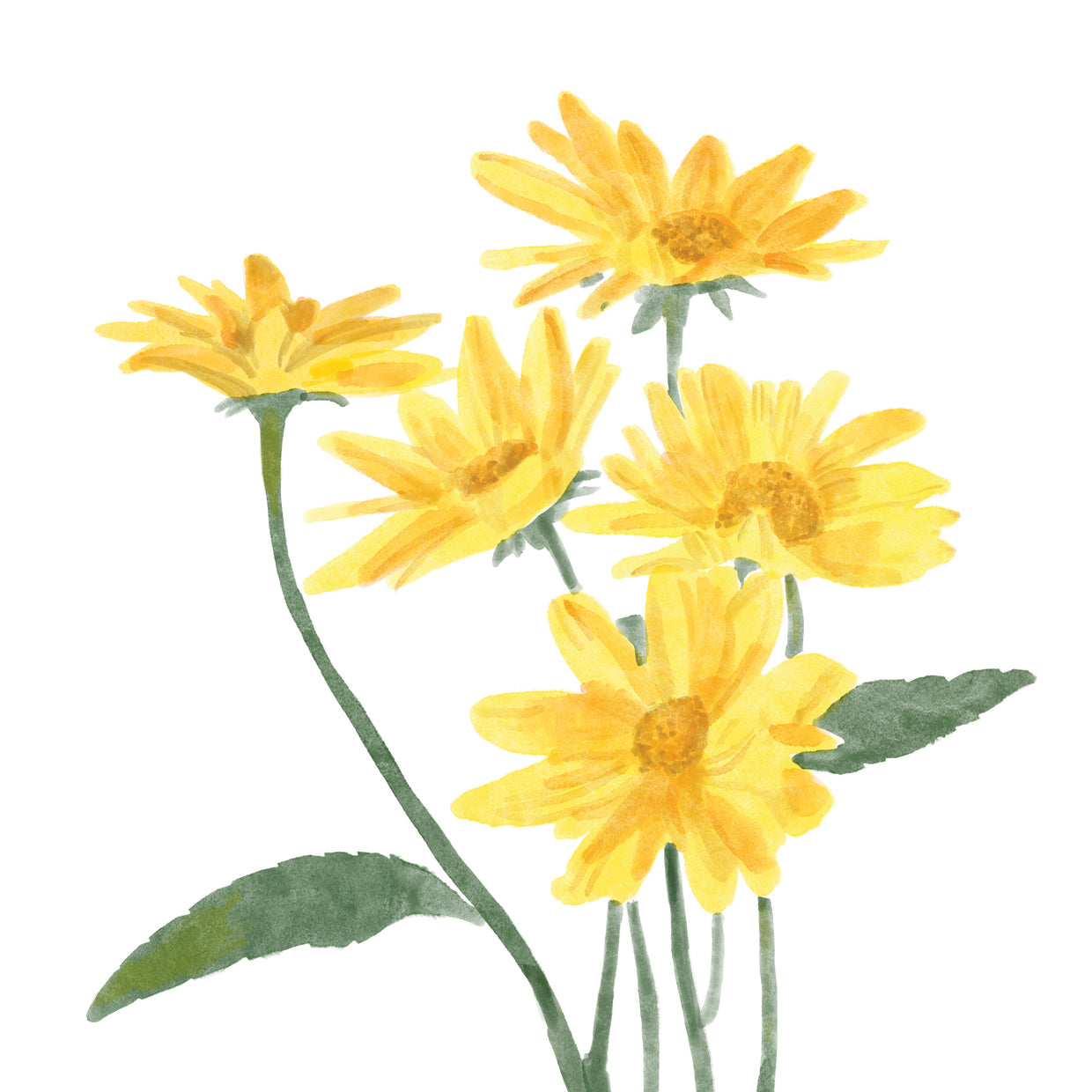 Grupo de flores silvestres I Lienzo