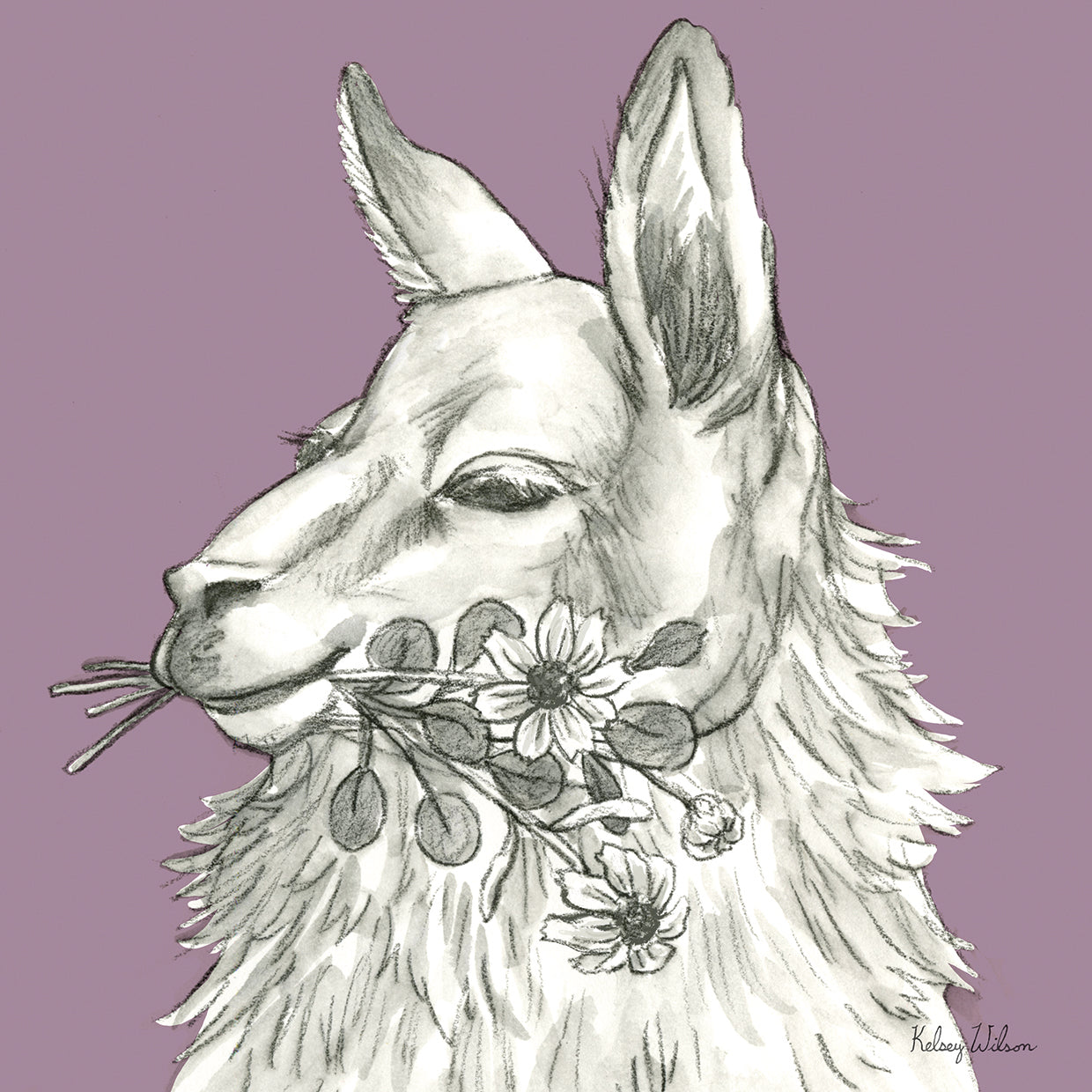 Watercolor Pencil Farm color VII-Llama