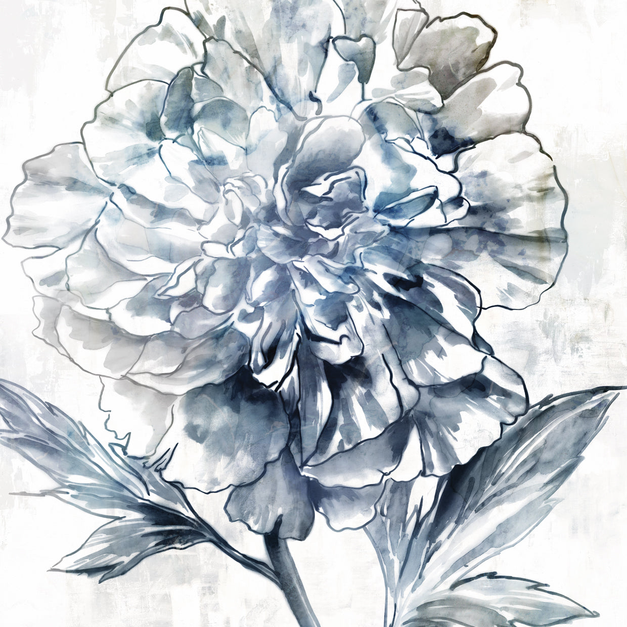 Japanese Peony II Wall Art by Isabelle Z | Fine Art Canvas