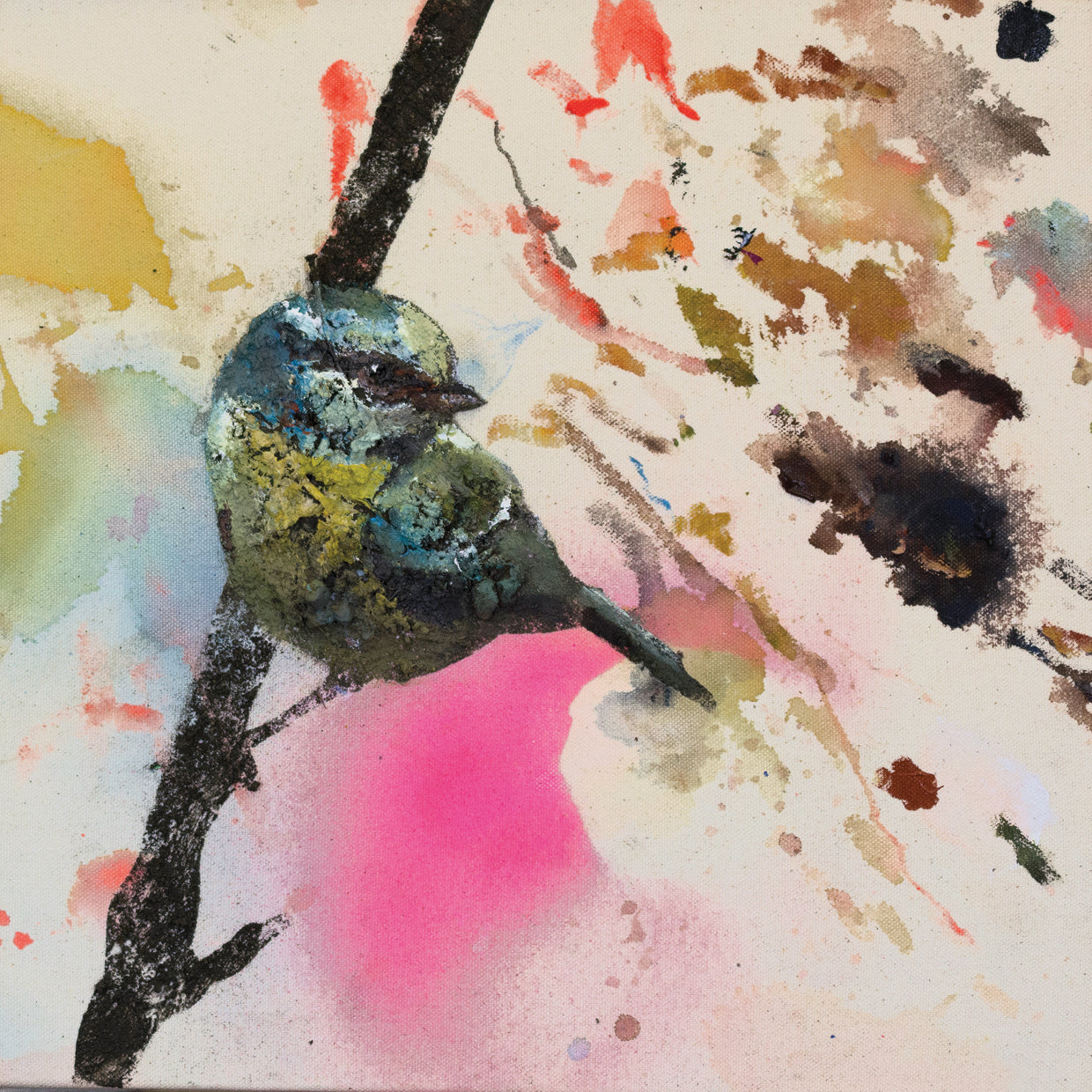 Blue Western Tanager