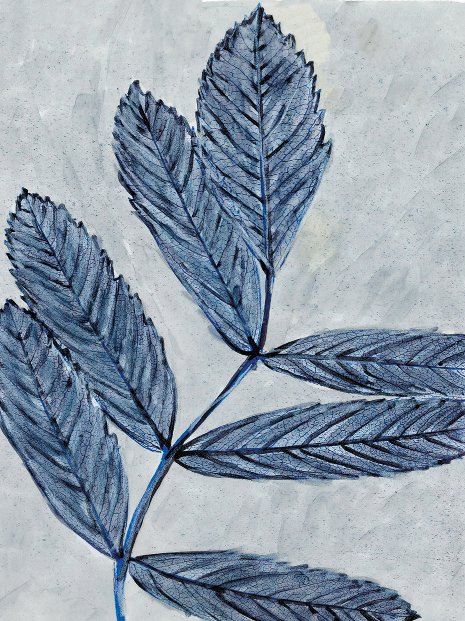 Modern Botanical Study I