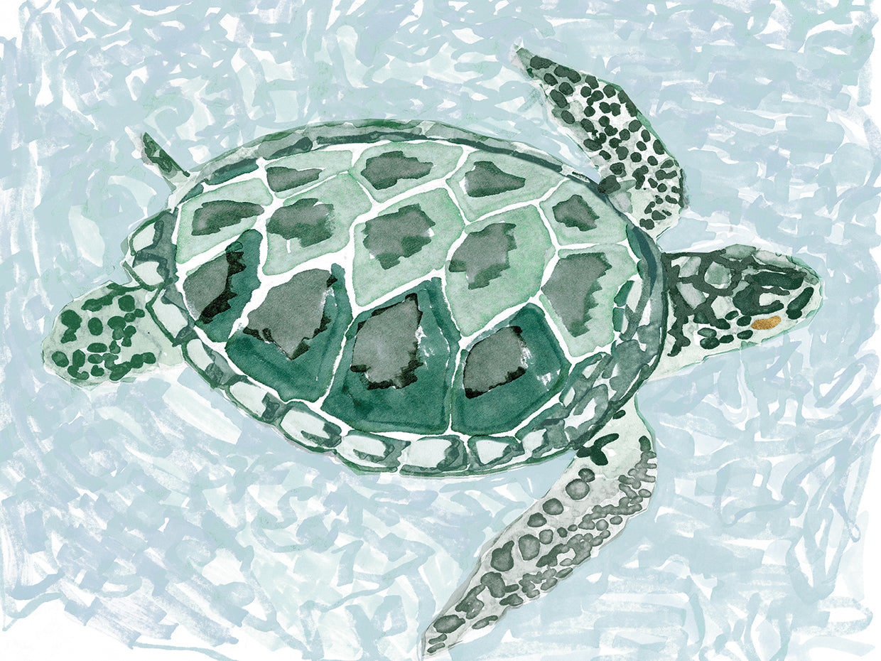Tortuga verde i Lienzo