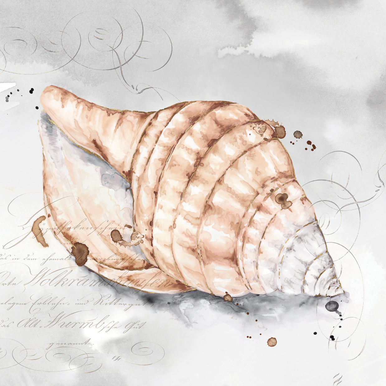 Blush Shell I Lienzo