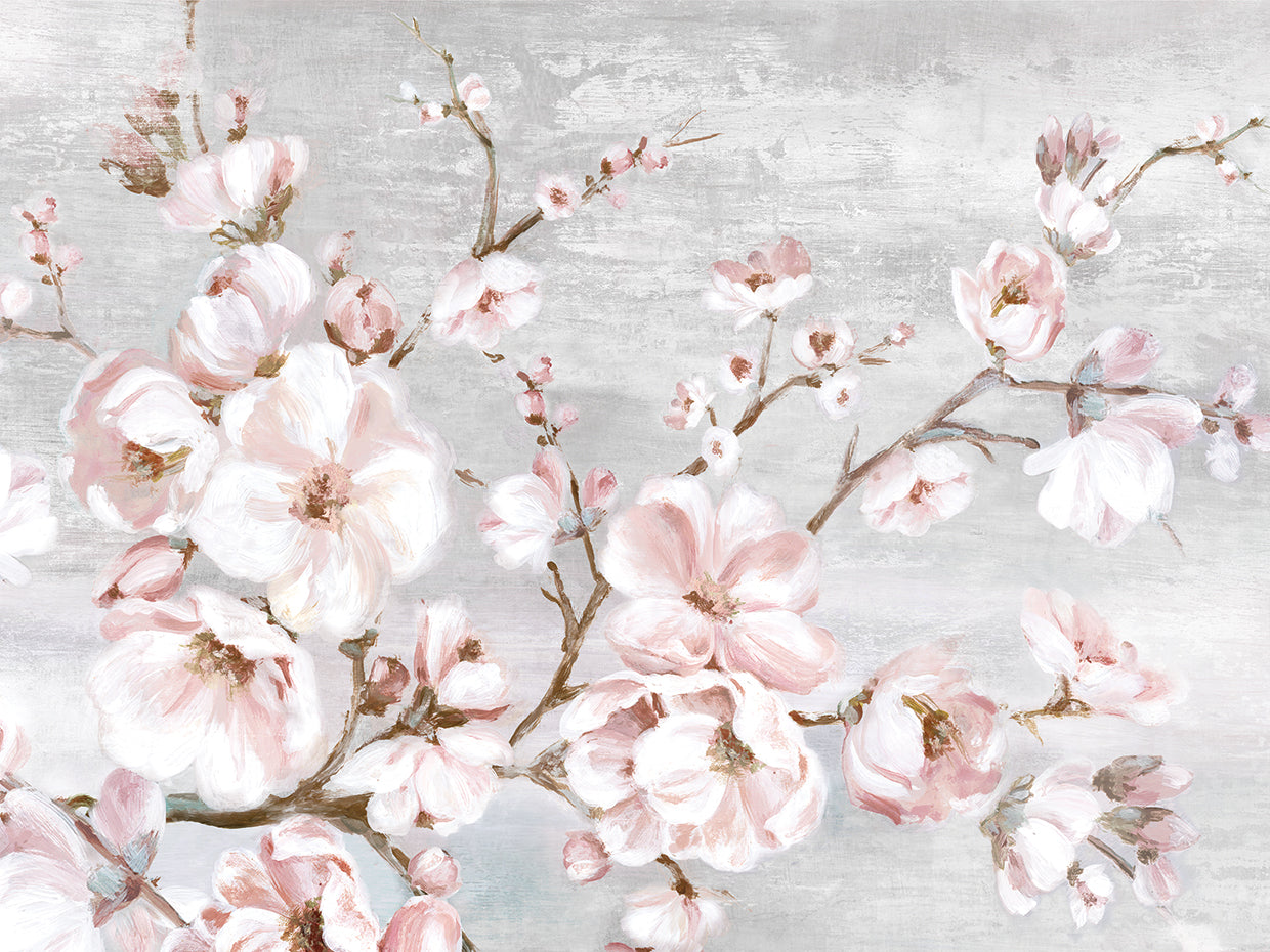 Spring Cherry Blossoms I