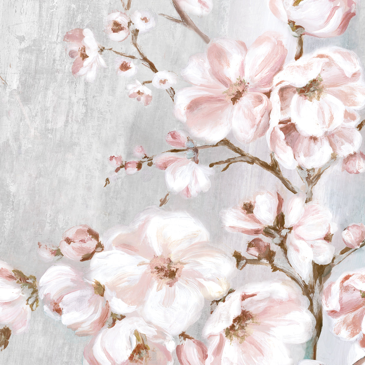 Spring Cherry Blossoms II