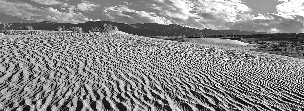 Cali Desert Dunes