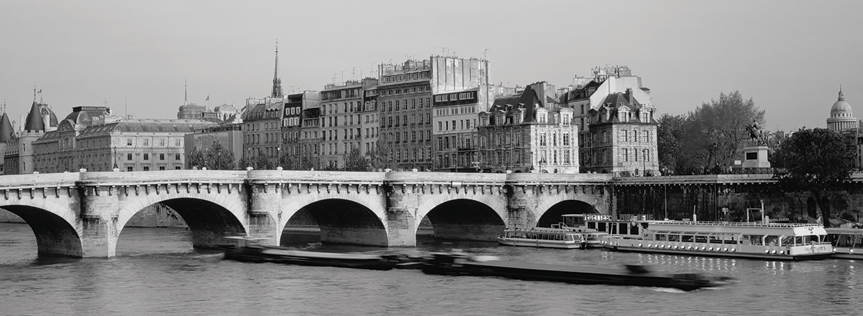 Pont Neuf Bridge Paris