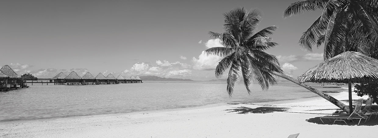 Palmeras Bora Bora Lienzo