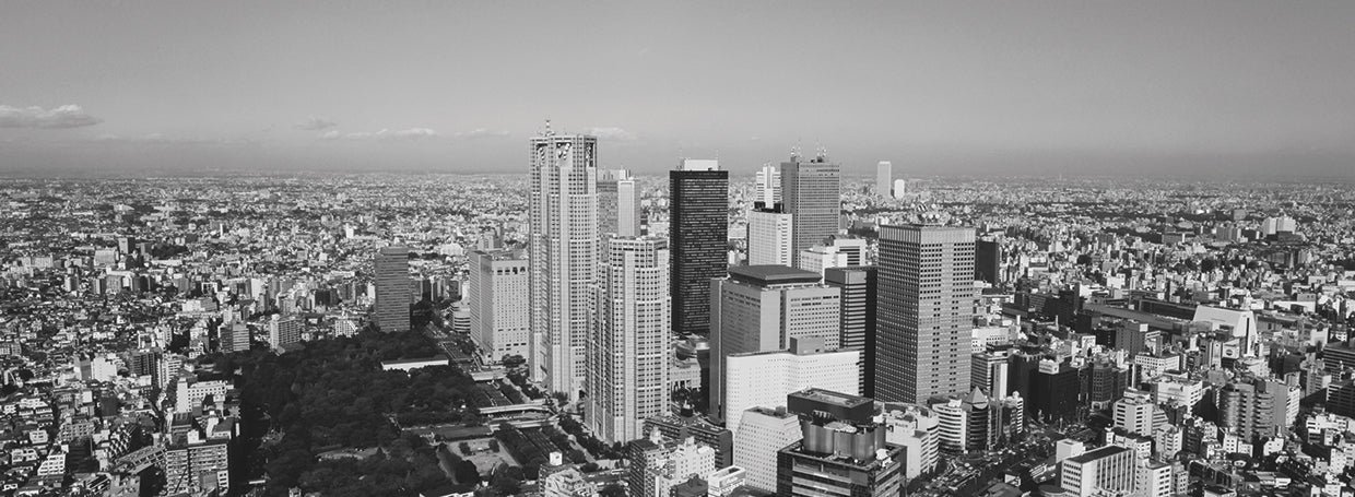 Rising Above Tokyo