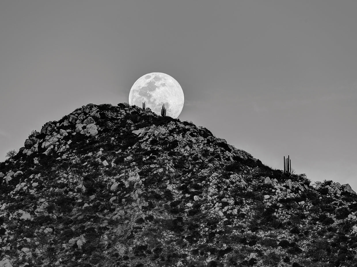 Baja Moon Rising