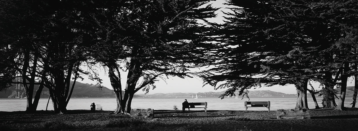 Parque pacífico de San Francisco Lienzo