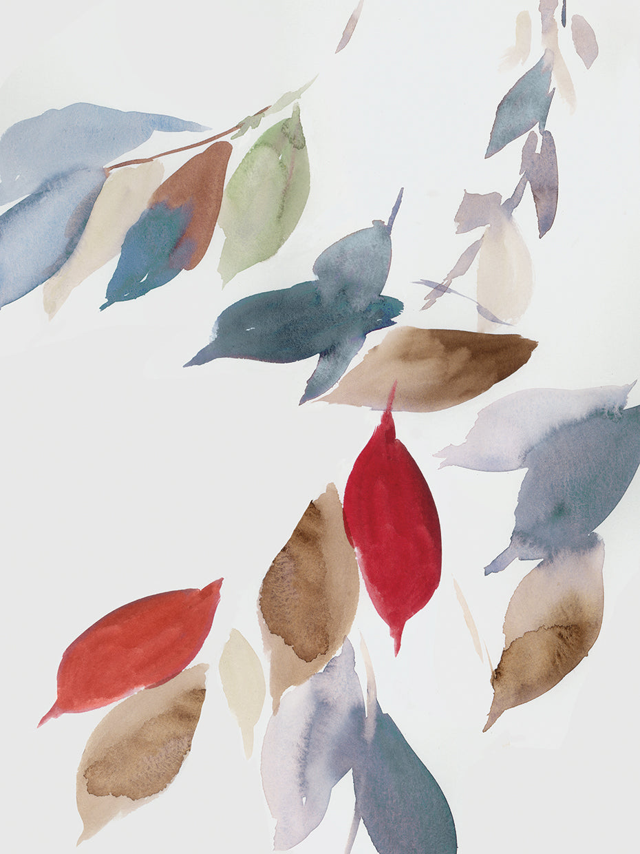 Fall Coloured Leaves II