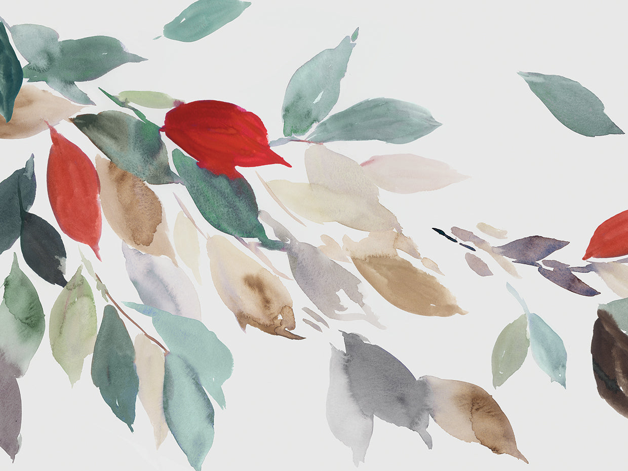 Fall Coloured Leaves III