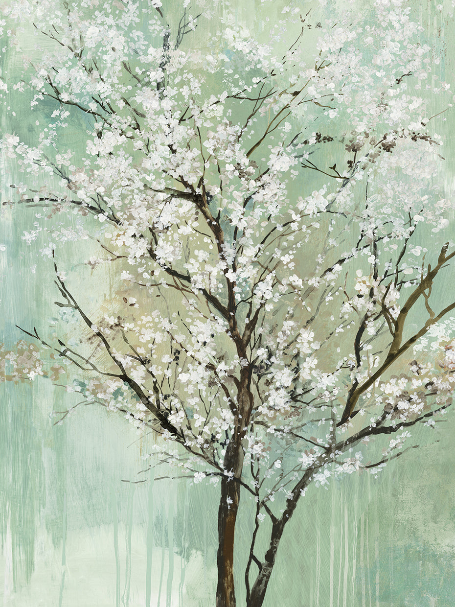 Apple Grove II Lienzo