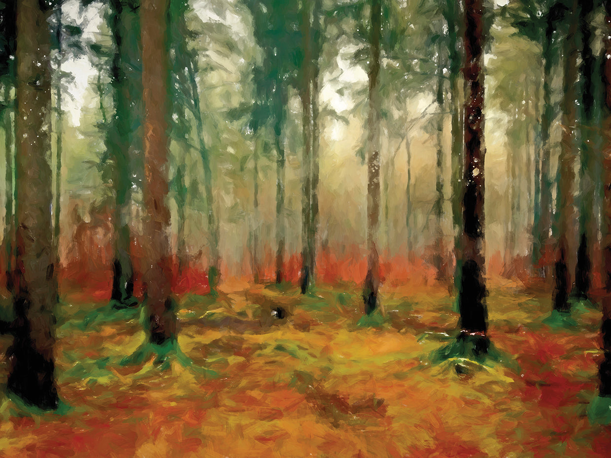 Autumn Woods