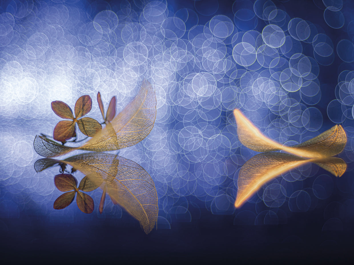 Marco - Two Boats in the valley of dreams