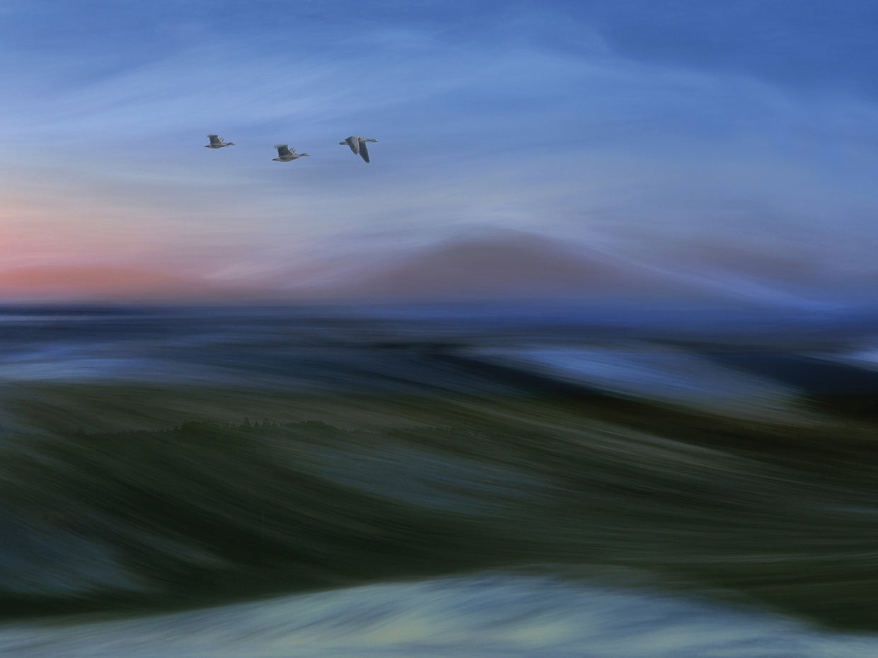 Emanuelson - Migrants