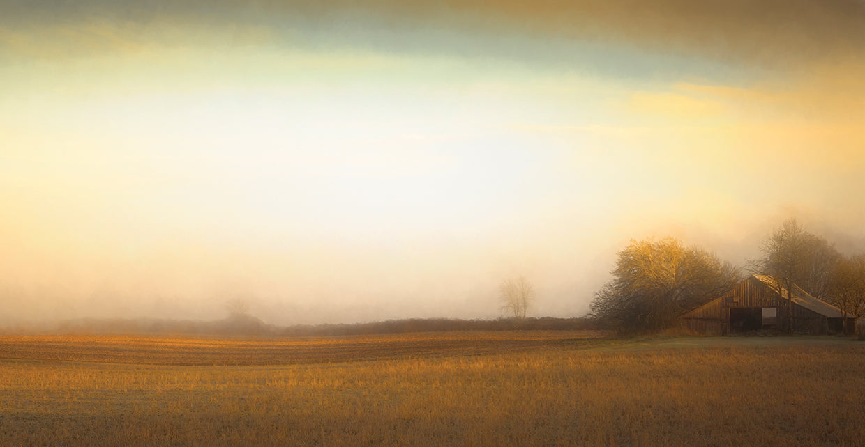Barn on a Foggy Morning