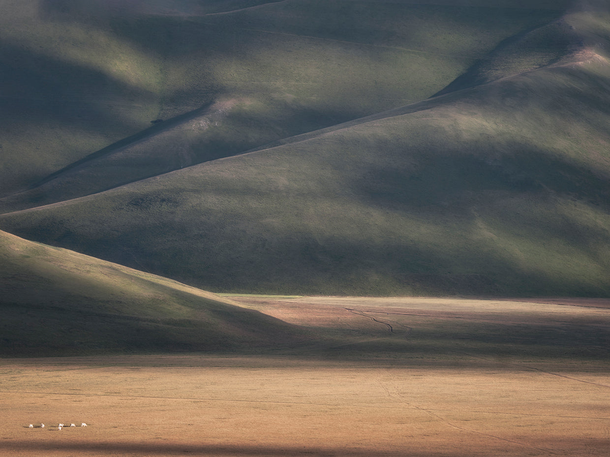 Marchegiani - Bucolic Landscape