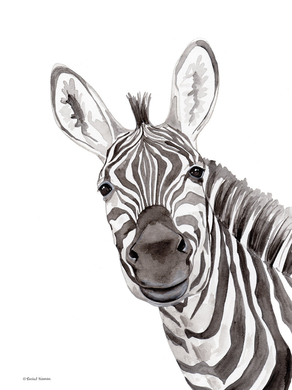 Safari Zebra Peek-a-boo