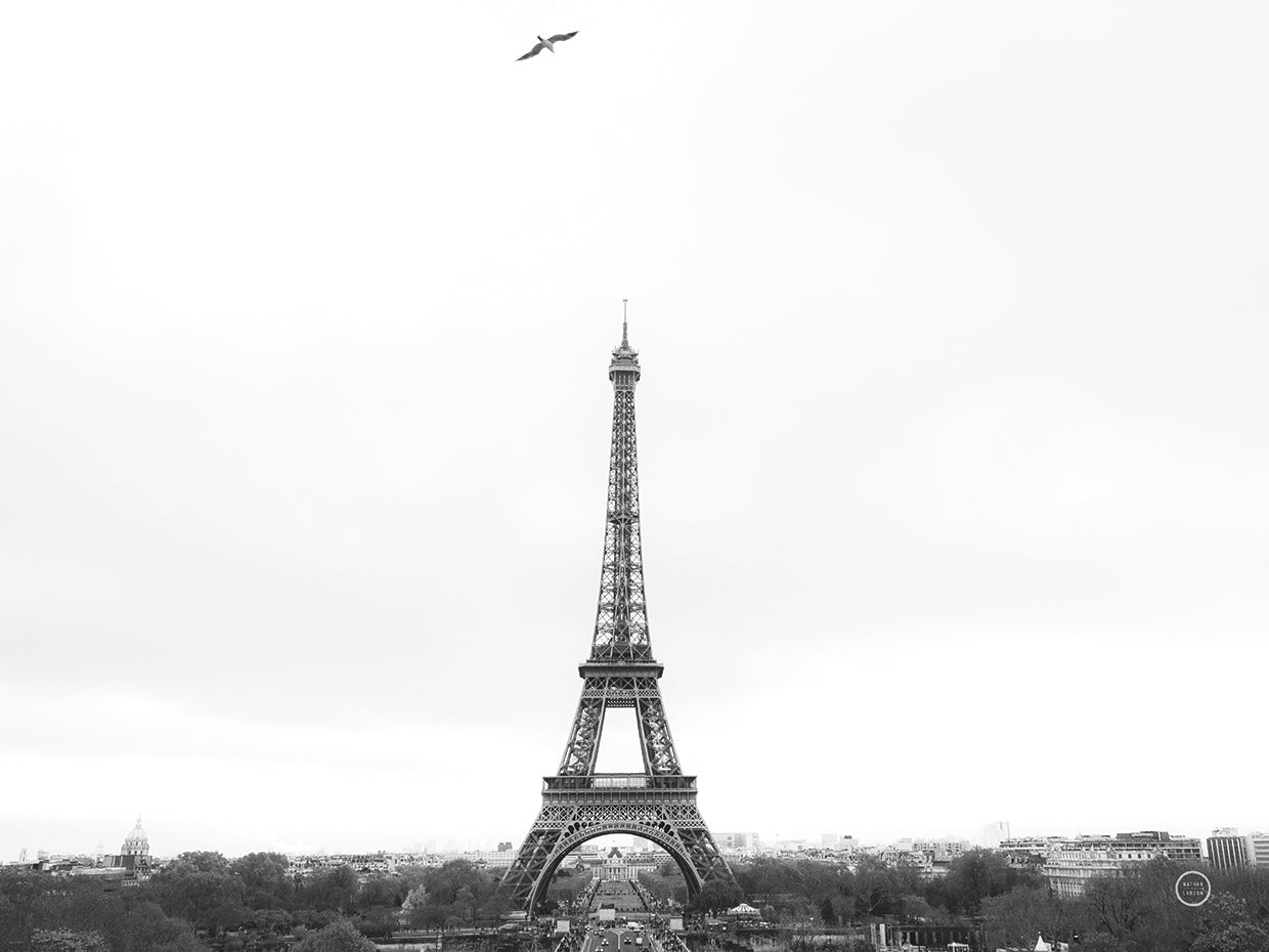 A Birds View of Paris