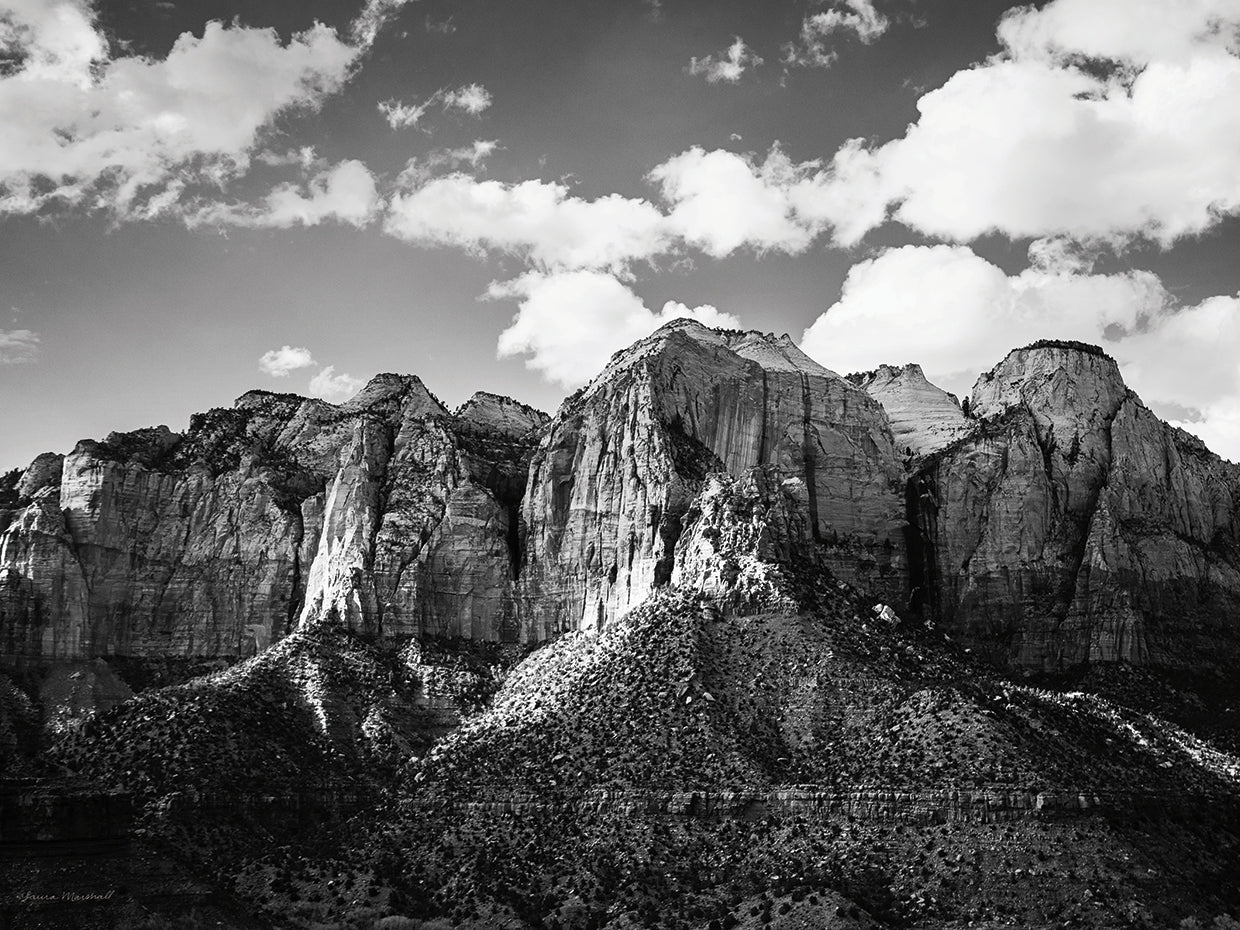Zion Canyon I