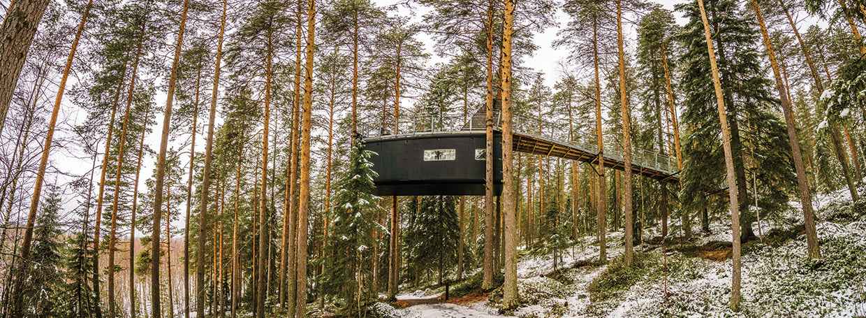 Hotel North Woods Lienzo