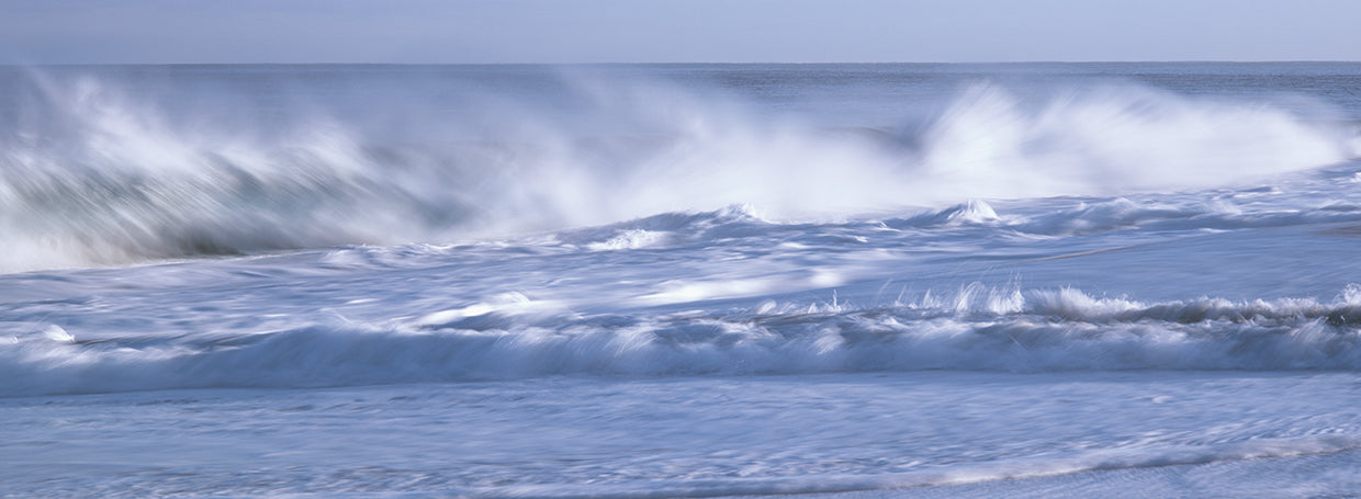 Playa Todos Santos Lienzo