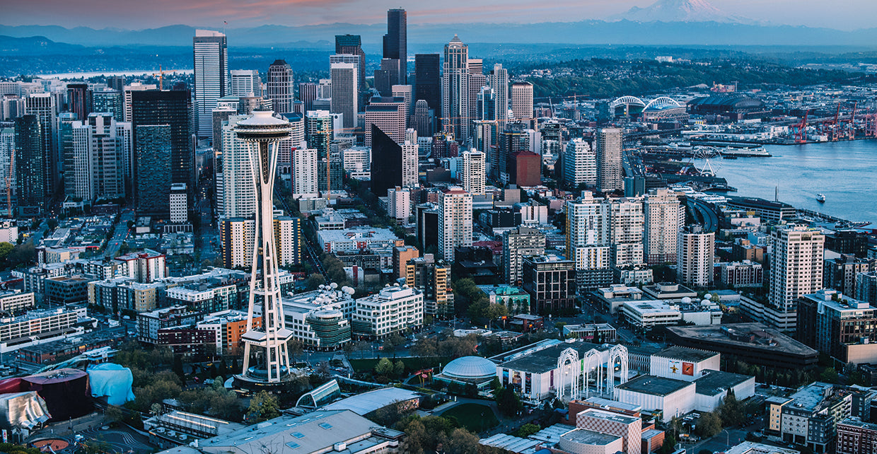 Aerial Seattle View