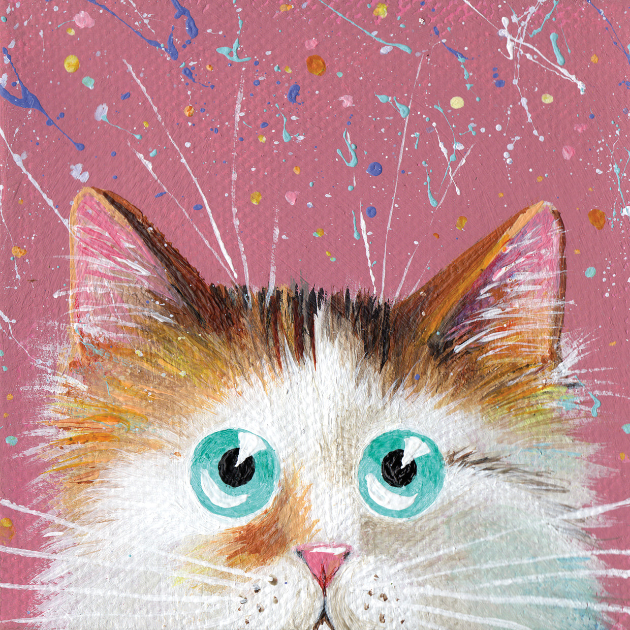 Peeping tortie on splattered pink