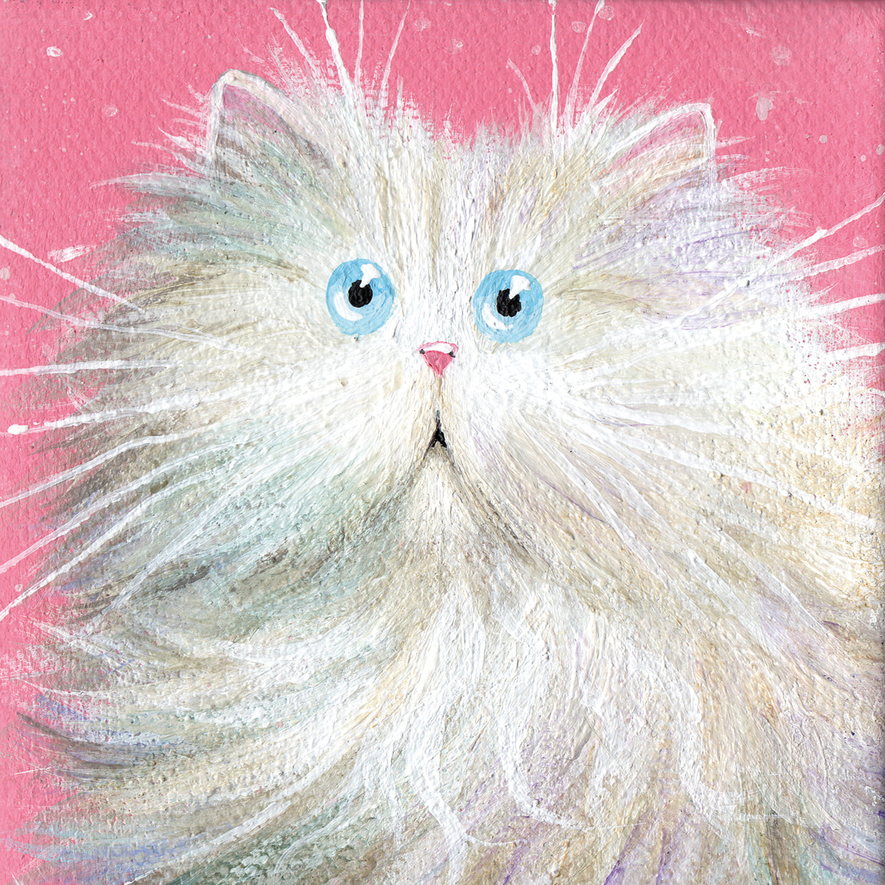 White persian on pink